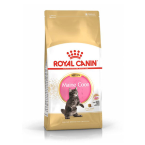 Royal Canin Kitten Maine Coon