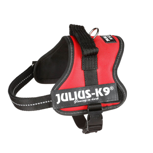 Harnais Julius-K9 Power rouge